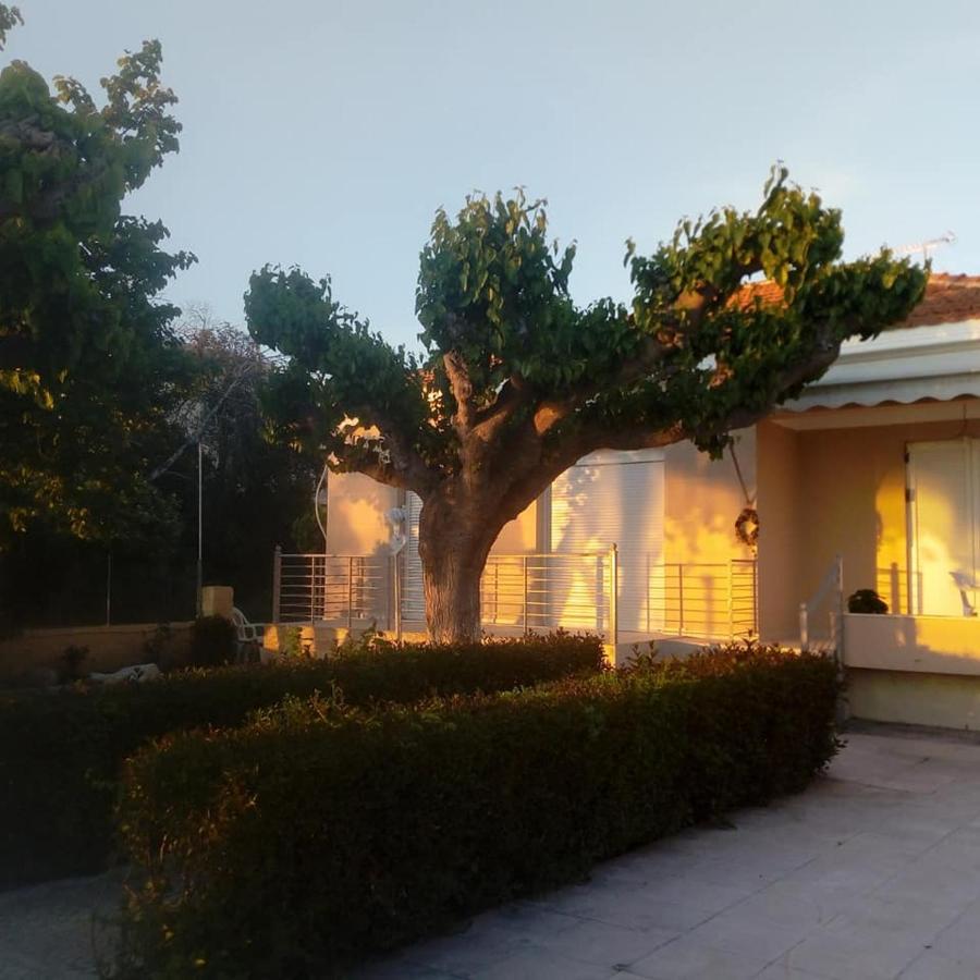 Mamanis Studios Loutra Edipsou  Luaran gambar